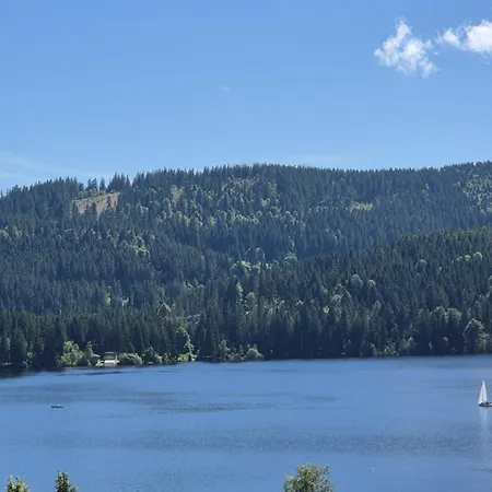 Am - Terrasse - Kachelofen In Ruhiger Lage Nahe Apartment Schluchsee