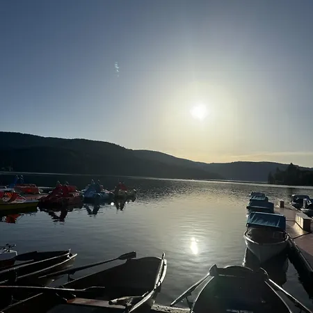 Am - Terrasse - Kachelofen In Ruhiger Lage Nahe Schluchsee
